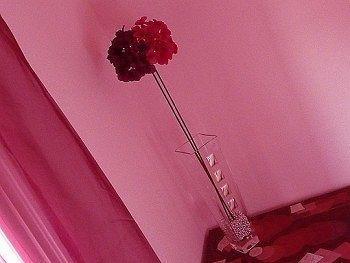 Bed & Breakfast 3B Bordighera Dış mekan fotoğraf
